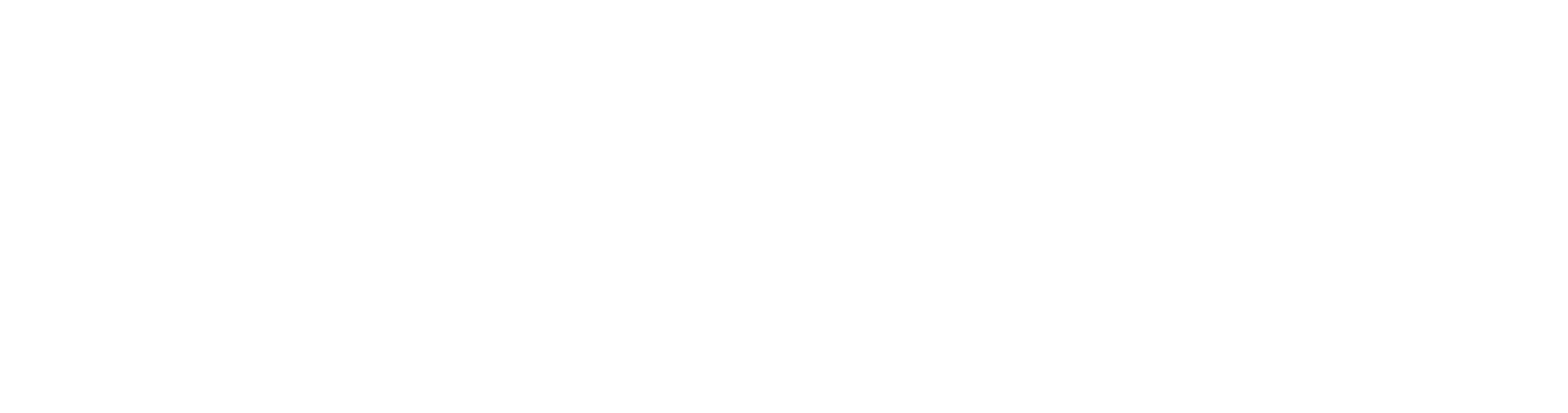 03_LOGOTIPO_BRANCO-2-scaled.png
