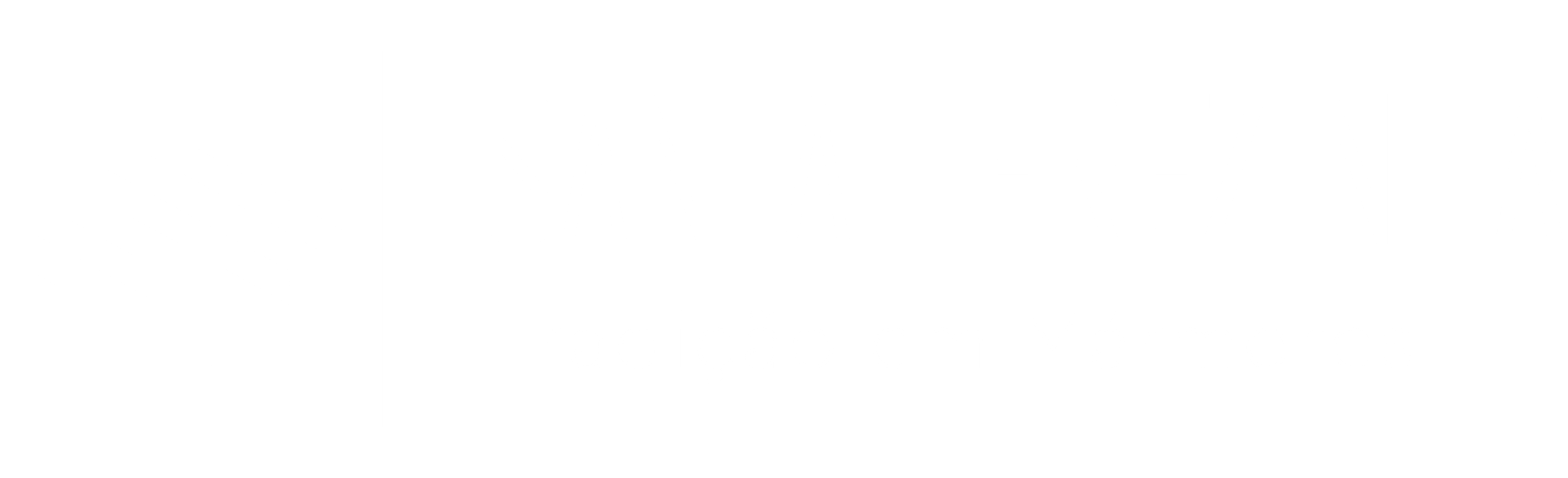 05_LOGOTIPO_PRIMARIO_BRANCO-scaled.png